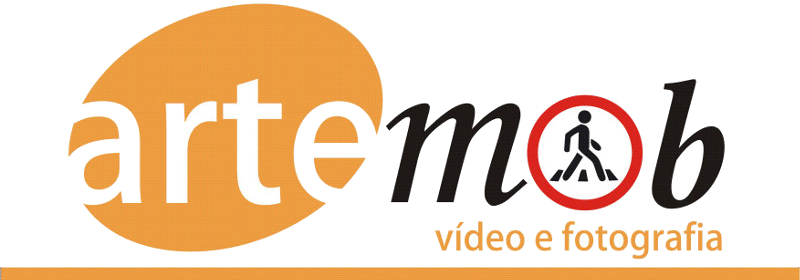 V Festival ArteMob 2013