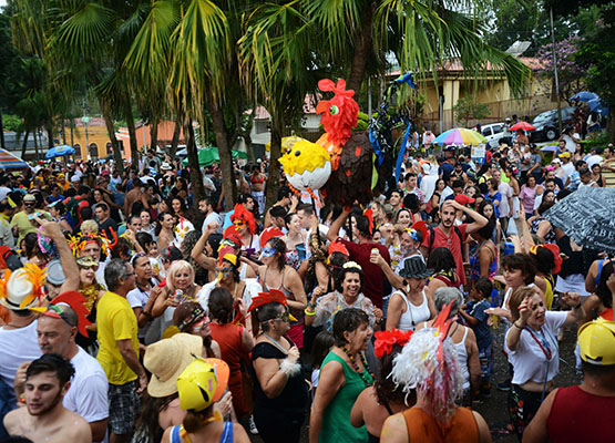 carnaval-campinas-carlos-bassan