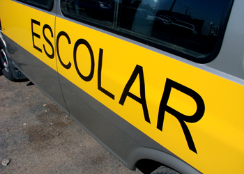 Transporte escolar: 82% dos operadores já solicitaram renovação do cadastro