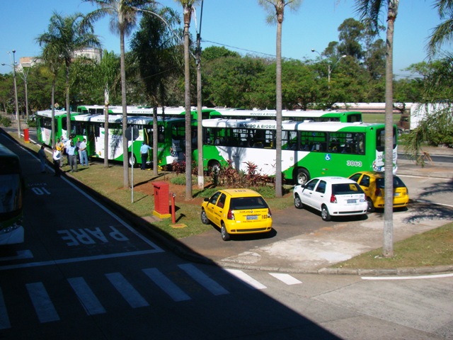 Campinas recebe 20 novos ônibus acessíveis
