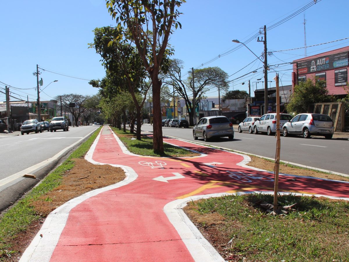 Entenda as diferenças entre ciclovias, ciclofaixas e ciclorrotas
