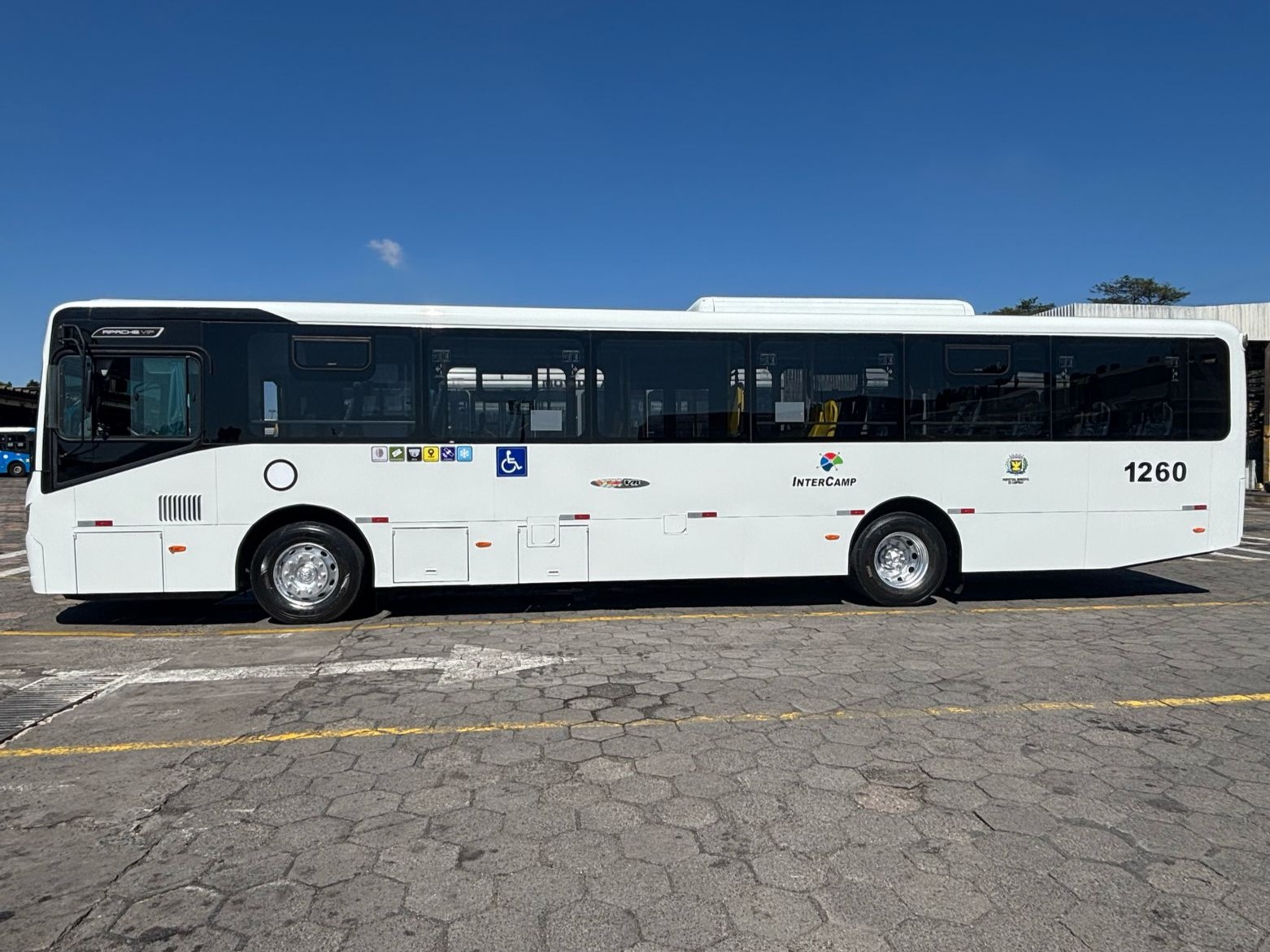 Três dos 50 novos ônibus reforçam frota da linha 114