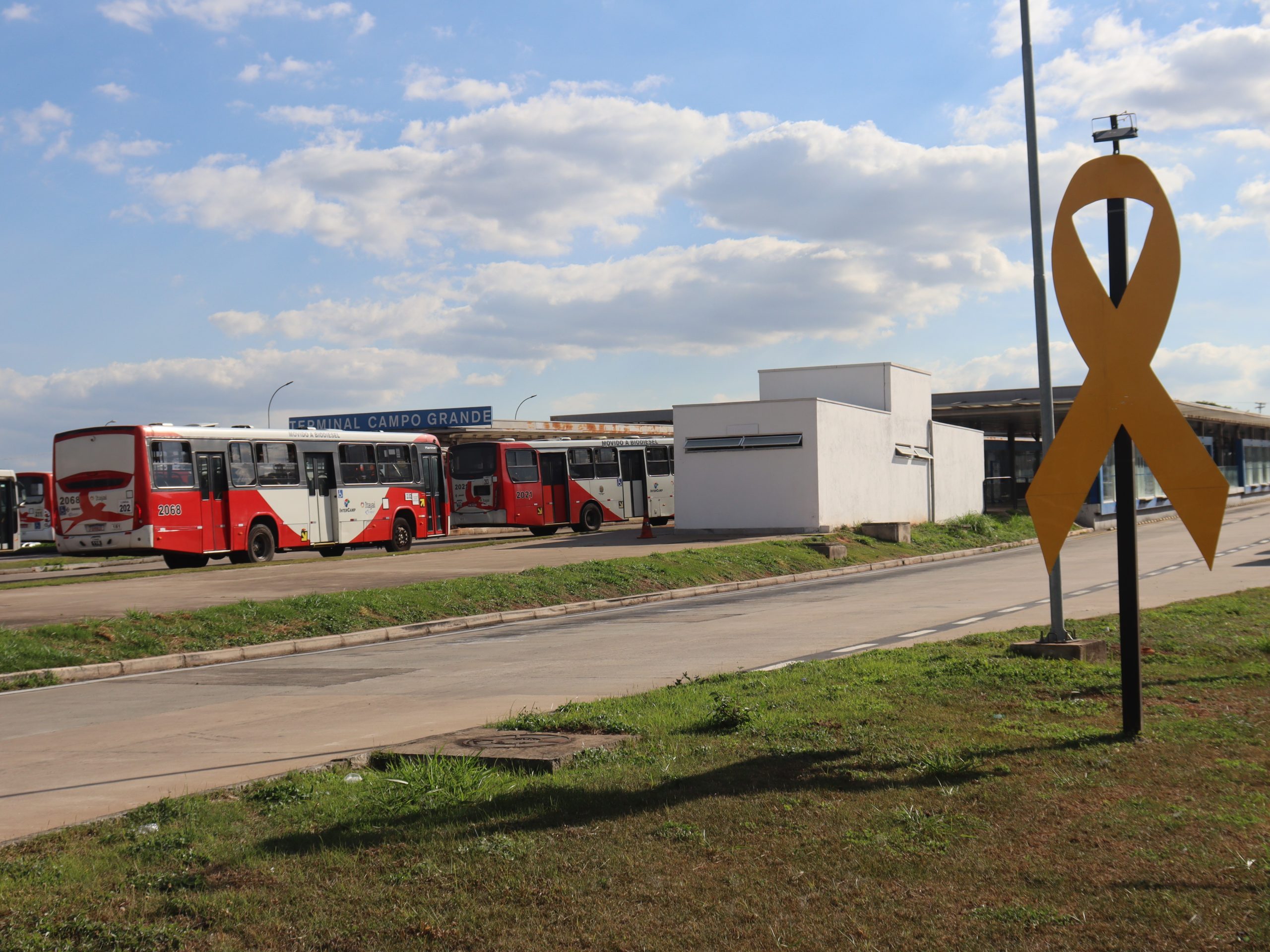 Webinar lançará Maio Amarelo 2026 nesta terça (05/05)