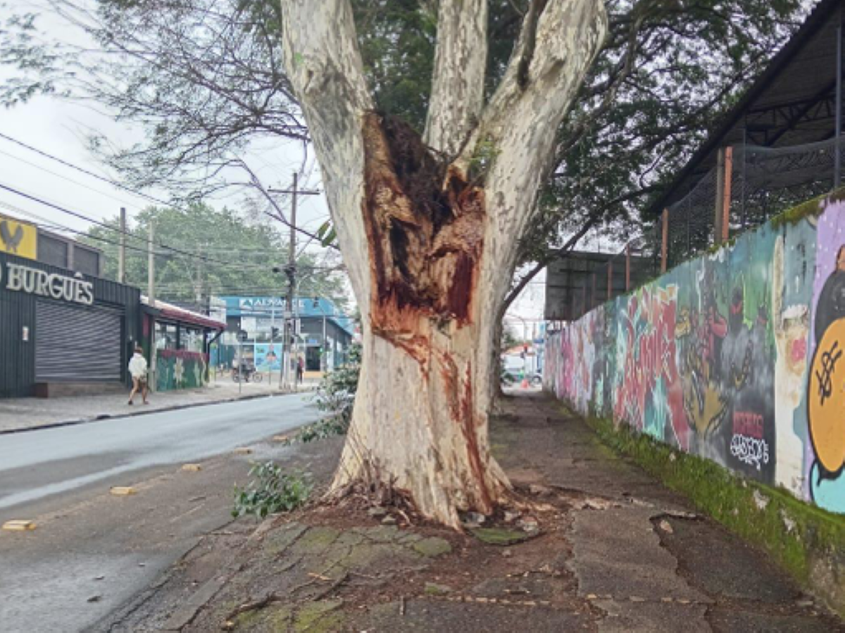 Trecho da rua Antônio Pierozzi, em Barão Geraldo, fechado ao trânsito nesta sexta (29)