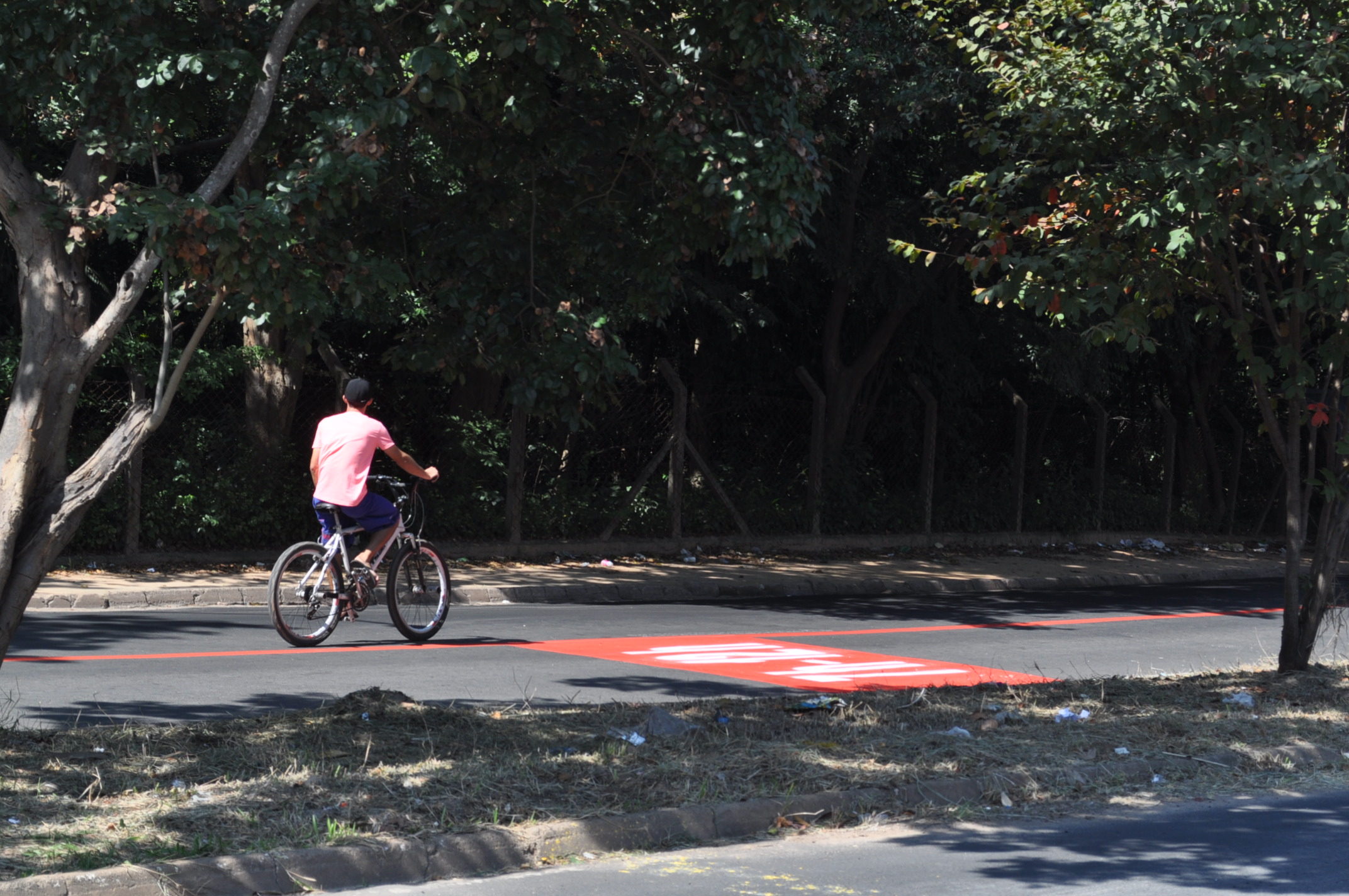 Ciclofaixas de lazer são opção de diversão saudável no domingo