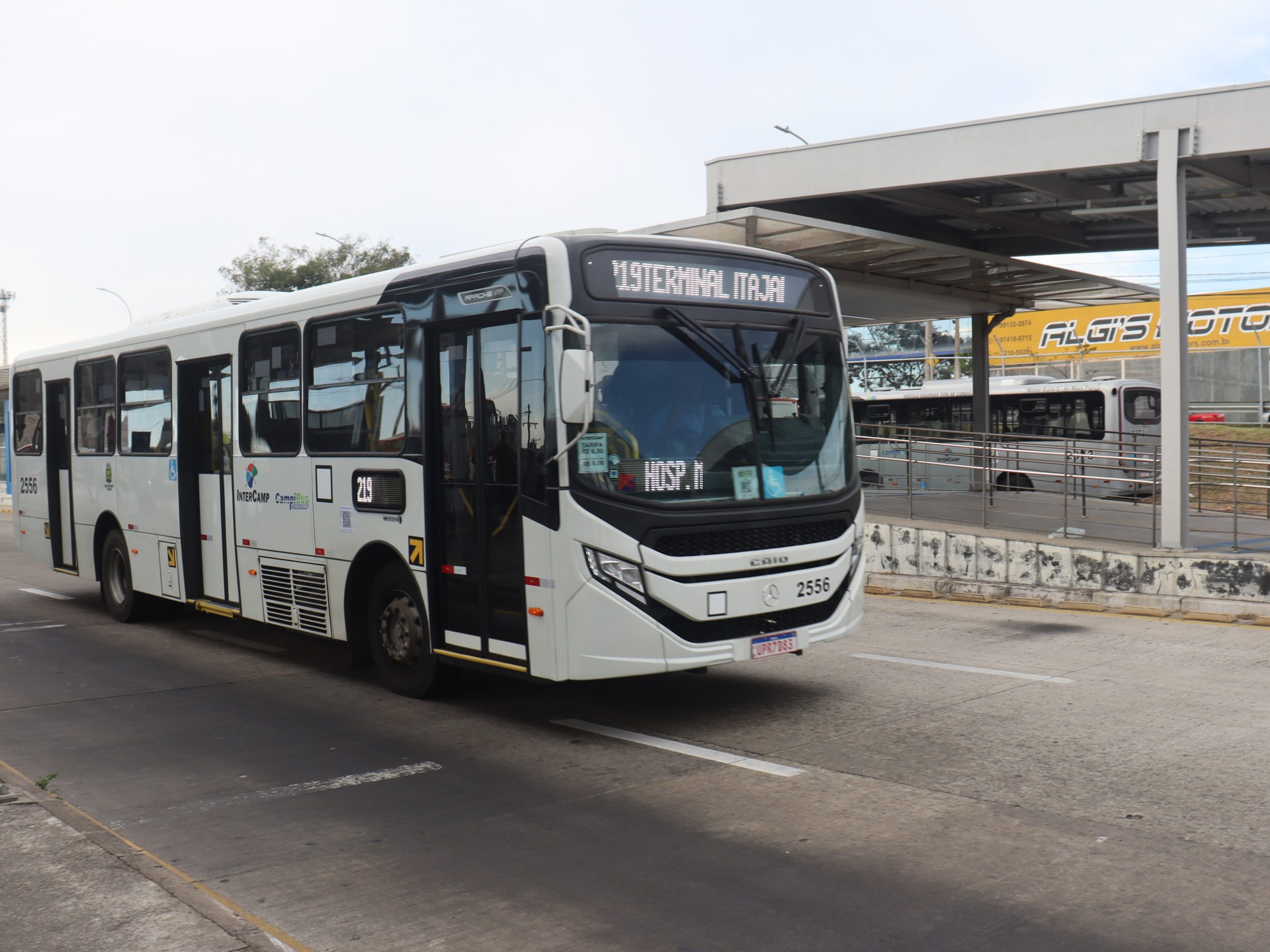 Novos_Onibus_Linha_219 (1)