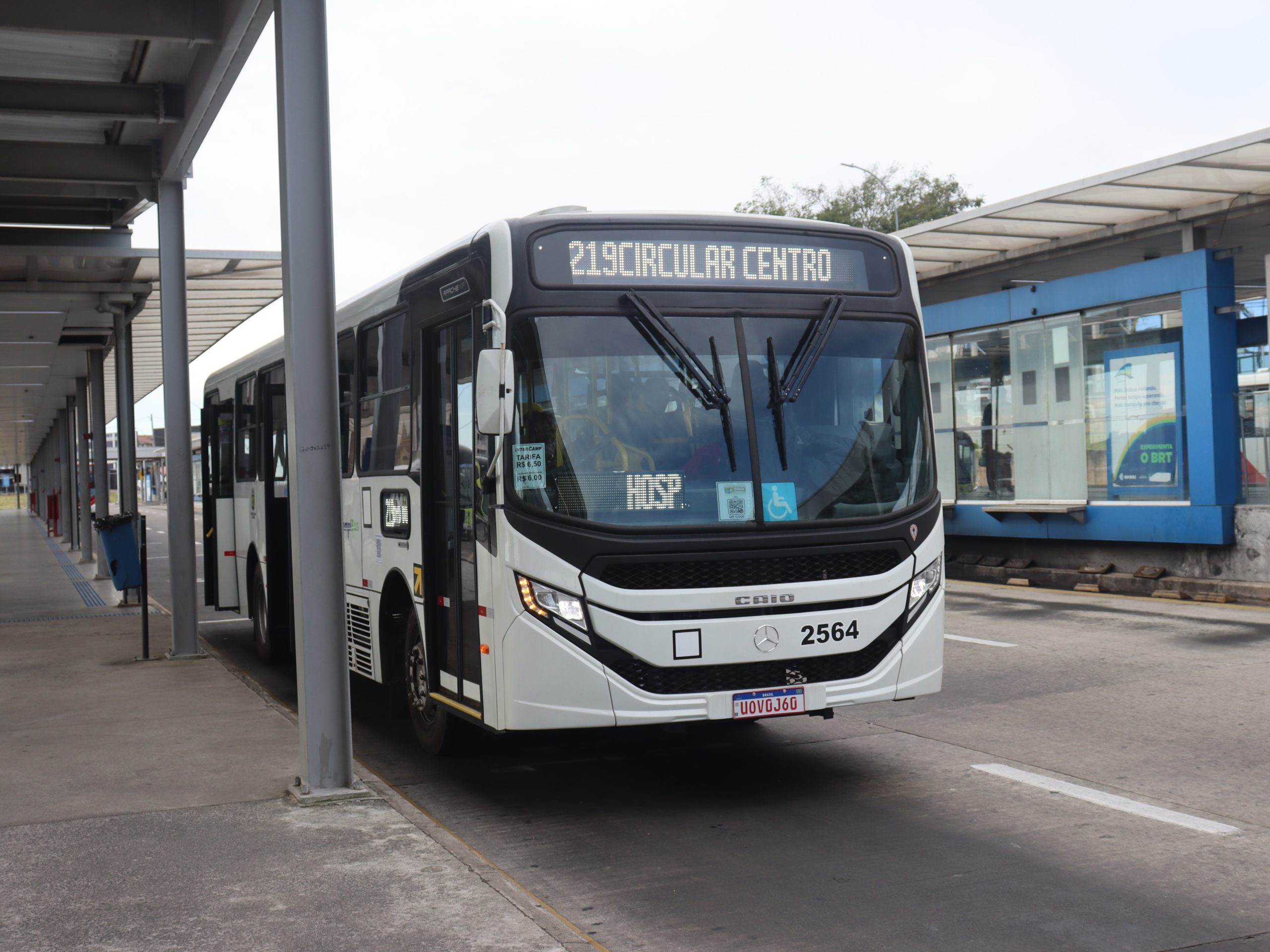Novos_Onibus_Linha_219 (4)