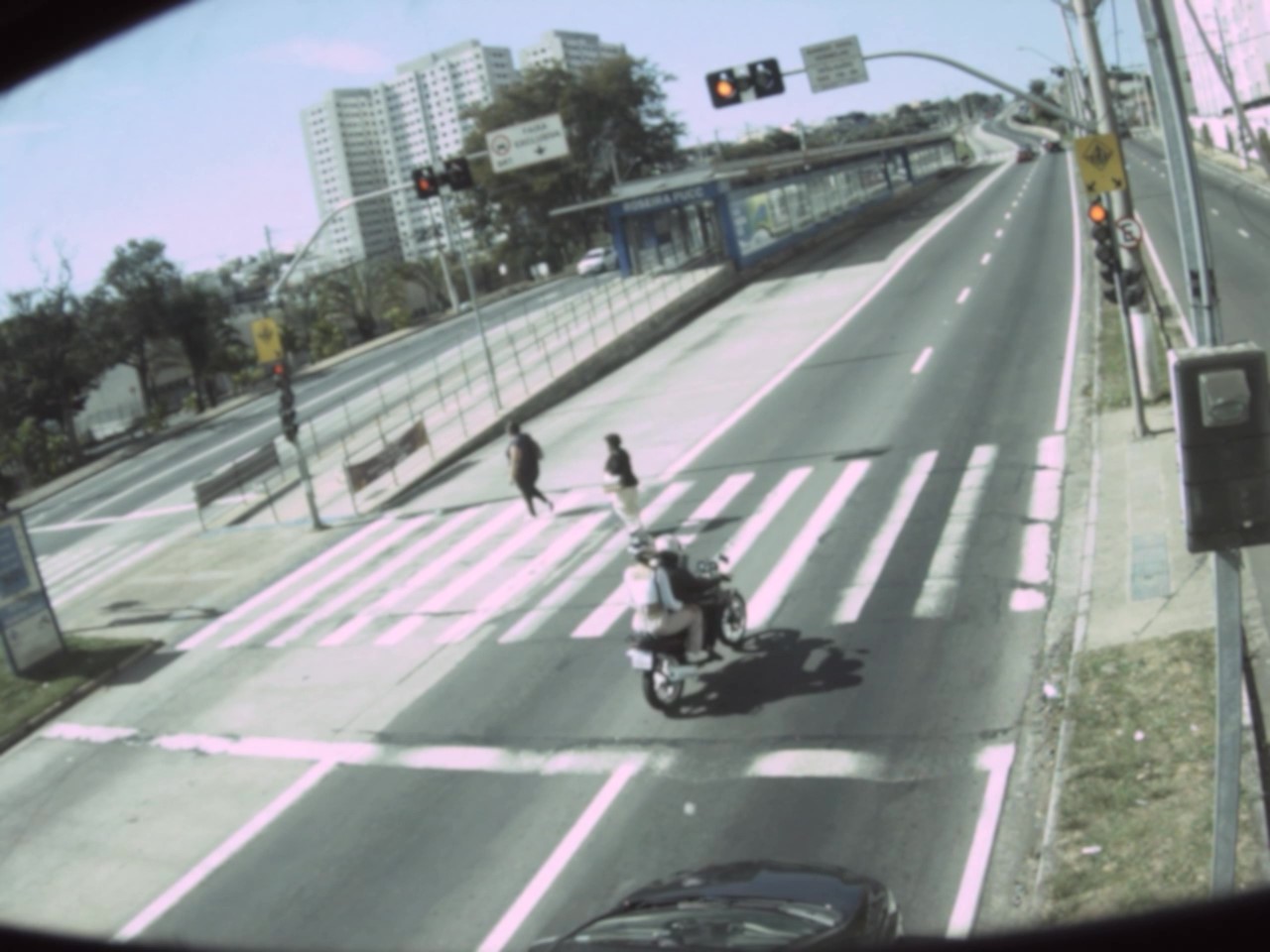 Imagens flagradas pelos radares demonstram o comportamento e o risco aos pedestres