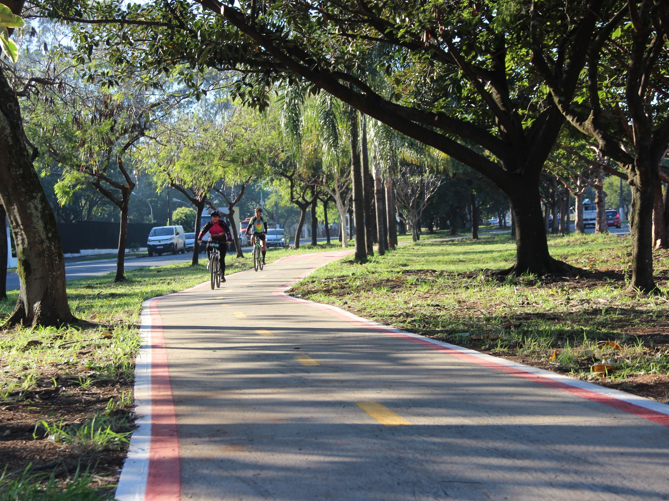 Pela primeira vez desde 2018, não foram registradas mortes de ciclistas no trânsito