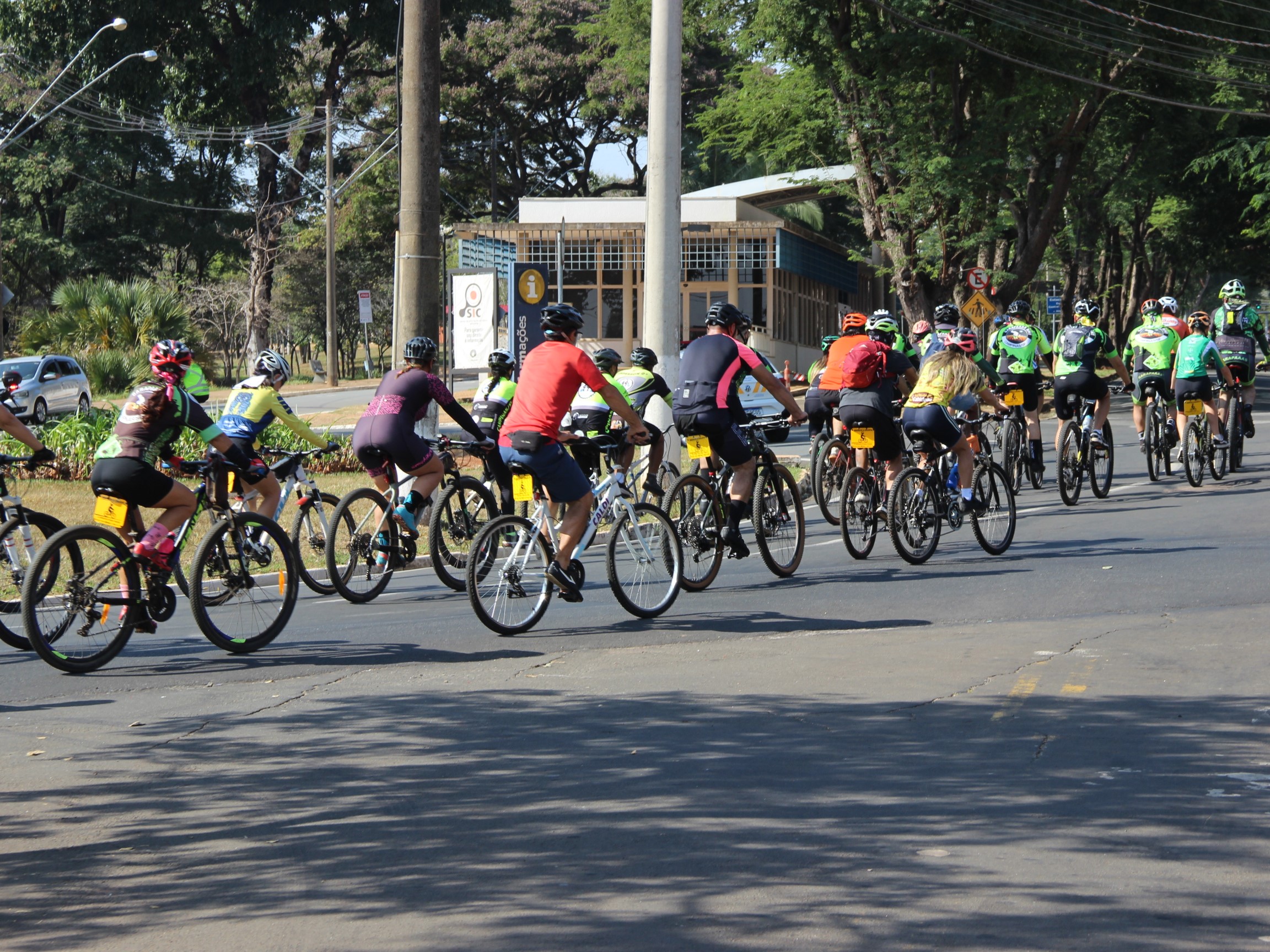 Pela primeira vez desde 2018, não foram registradas mortes de ciclistas no trânsito